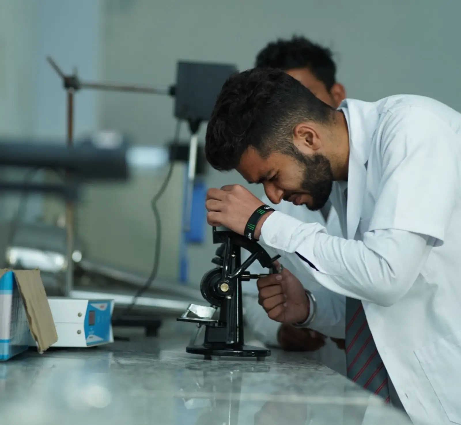 School of Pharmacy